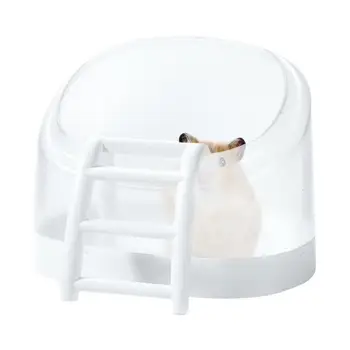 אוגר אמבטיה סולם אמבטיה ארגז חול עבור אוגר חלל גדול סנסציה הוכחה אנטי-מחזור שקוף אמבט עבור העכבר התמונה