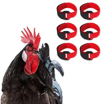 Pcslot מחמד צוואר רצועת הקולר על הזין תרנגול אספקה עופות Neckband אביזרים עבור משק עופות התמונה