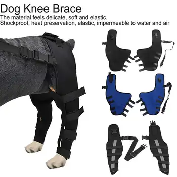 הכלב ברך על רגל תמיכה מתכווננת הכלב הירך מפרק הקרסול כיסוי מגן להגן על פצע ברגל רגל של כלב מגן על הלהקה E9O3 התמונה